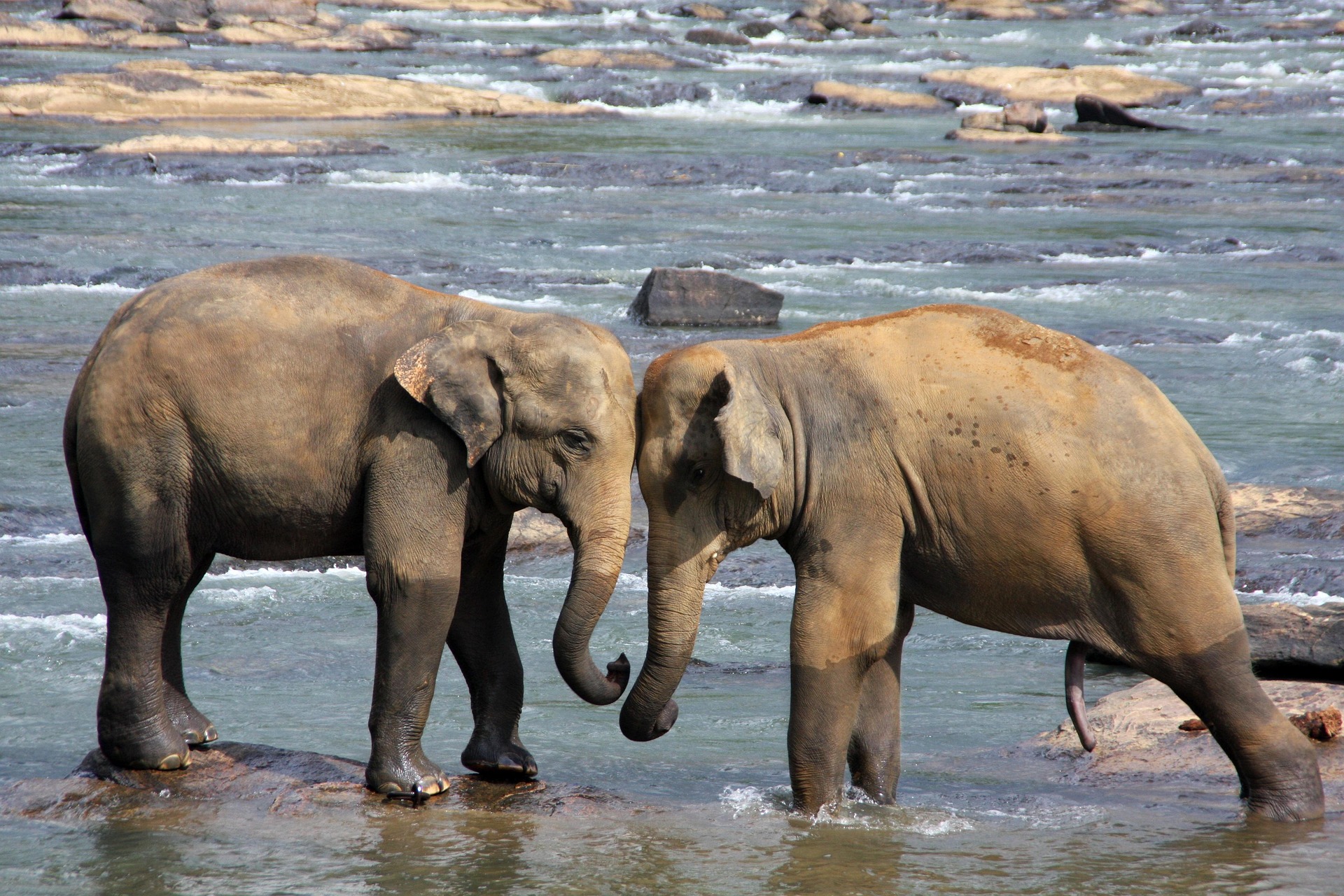  Sri Lanka
